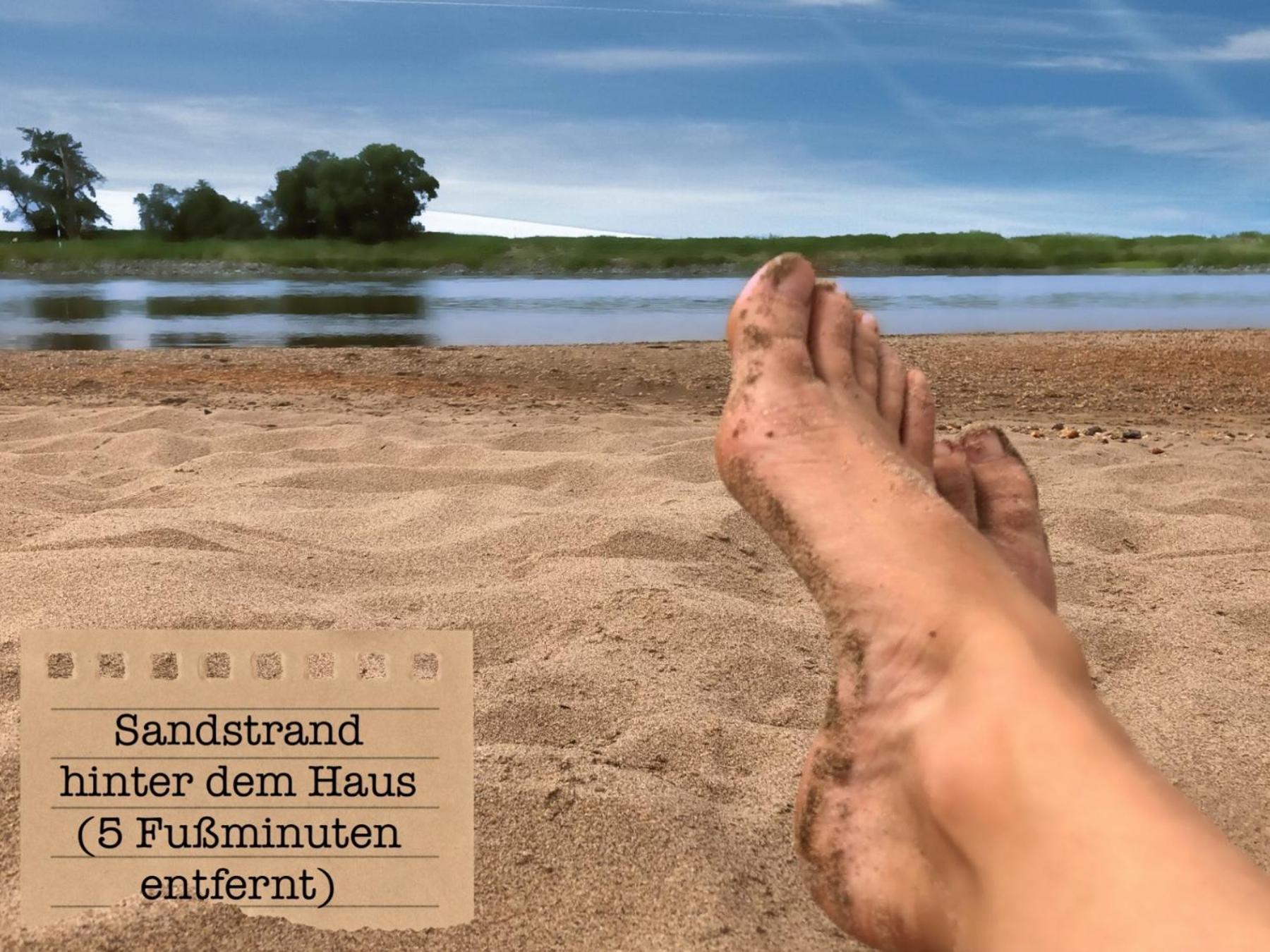 Alte Schule Wittenberg, 3 Ferienwohnungen Fuer Bis Zu 12 Personen, An Der Elbe, Mit Garten Εξωτερικό φωτογραφία