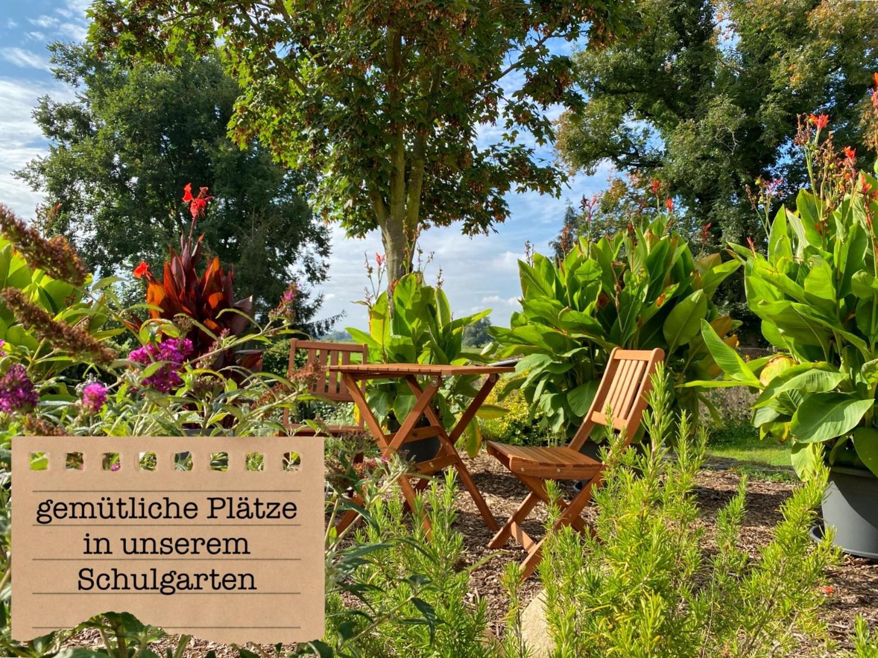 Alte Schule Wittenberg, 3 Ferienwohnungen Fuer Bis Zu 12 Personen, An Der Elbe, Mit Garten Εξωτερικό φωτογραφία
