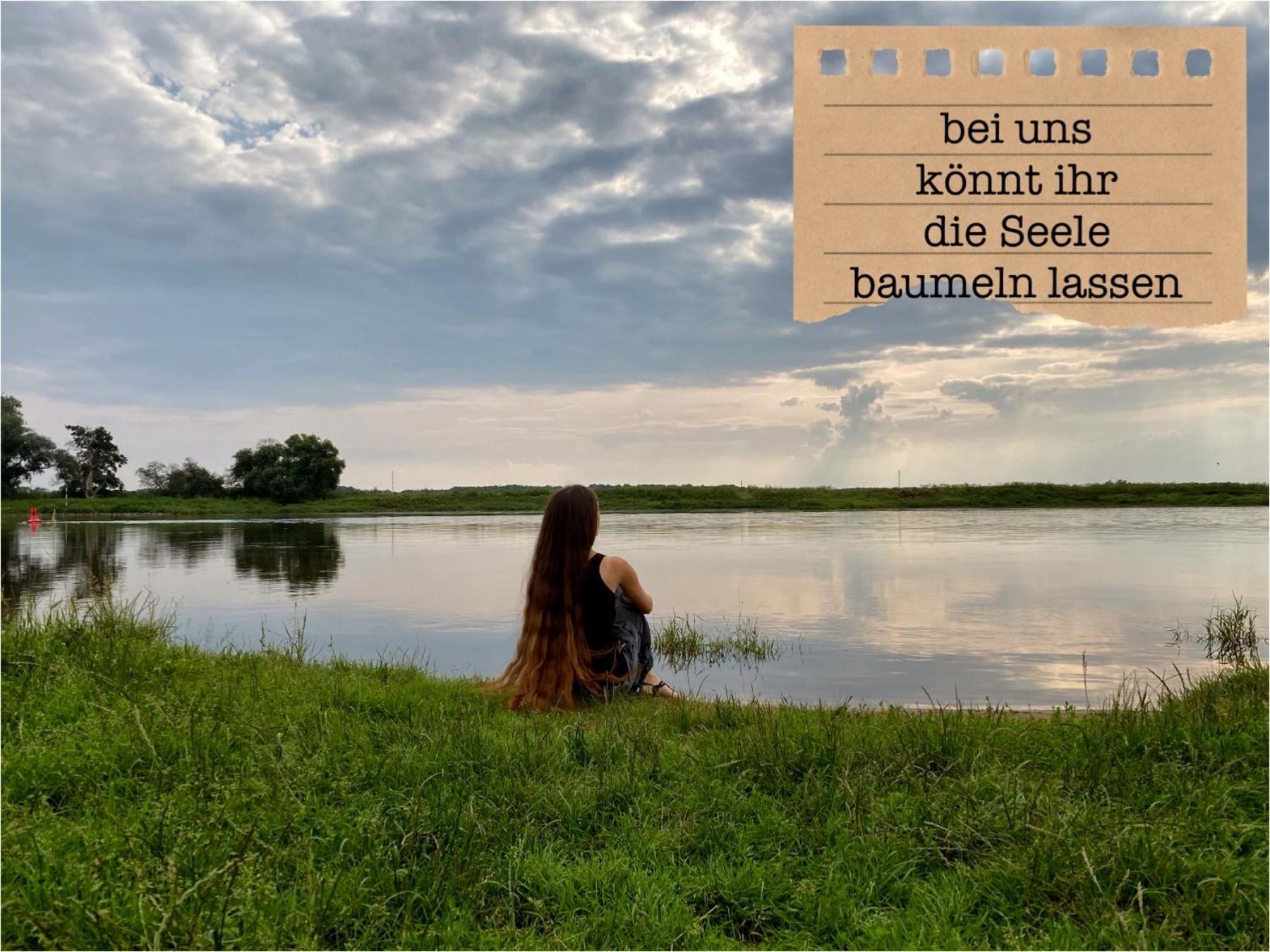 Alte Schule Wittenberg, 3 Ferienwohnungen Fuer Bis Zu 12 Personen, An Der Elbe, Mit Garten Εξωτερικό φωτογραφία