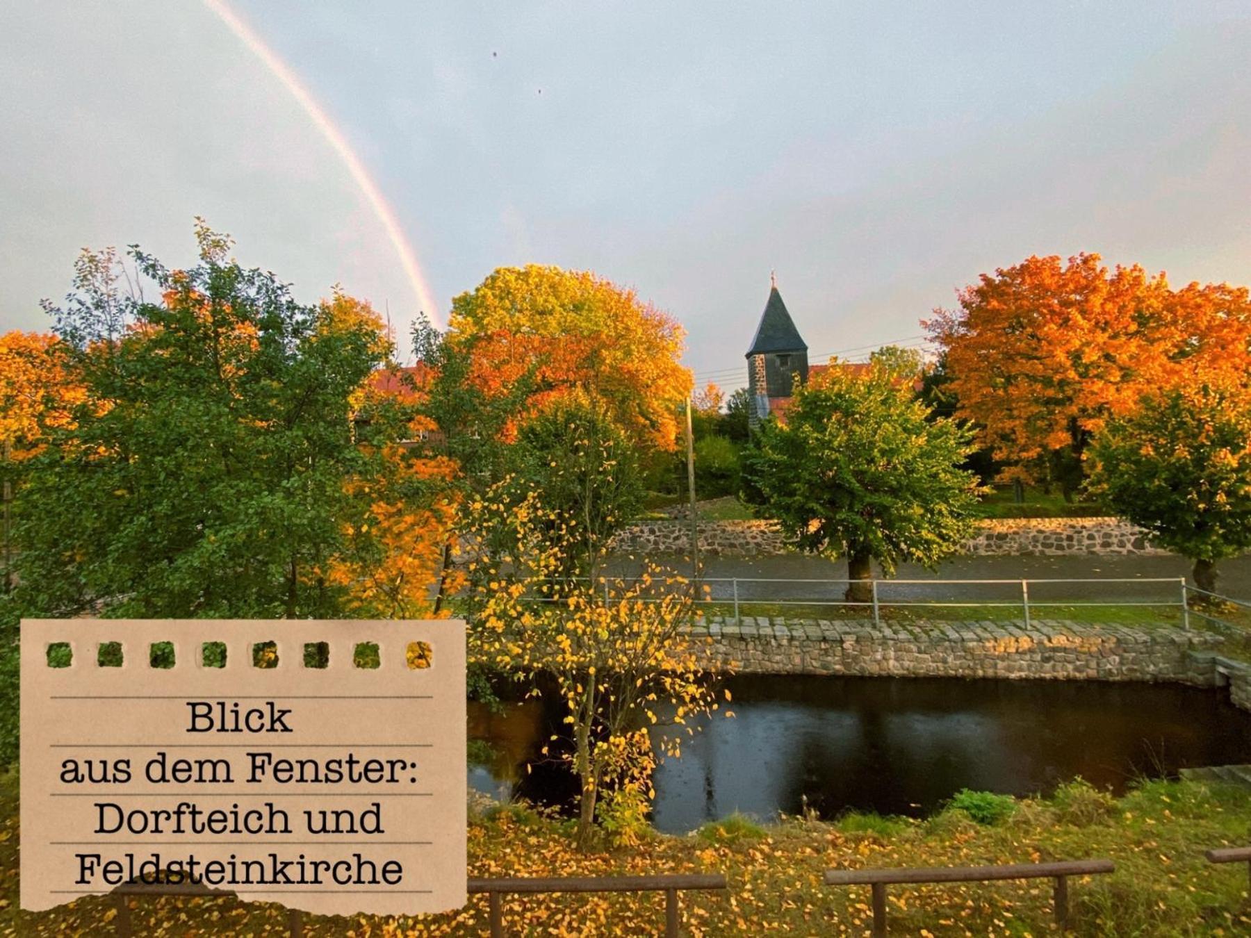 Alte Schule Wittenberg, 3 Ferienwohnungen Fuer Bis Zu 12 Personen, An Der Elbe, Mit Garten Εξωτερικό φωτογραφία