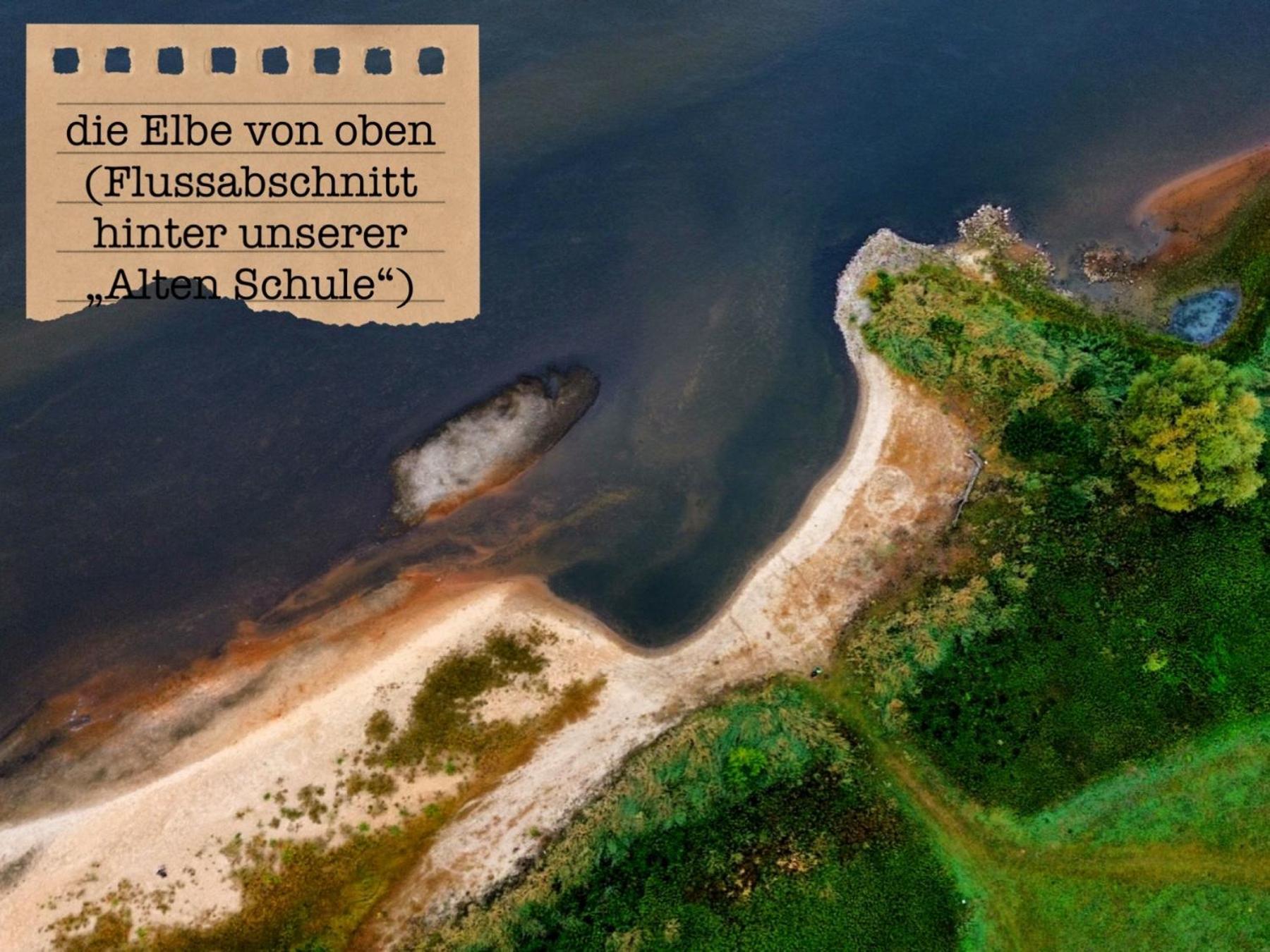 Alte Schule Wittenberg, 3 Ferienwohnungen Fuer Bis Zu 12 Personen, An Der Elbe, Mit Garten Εξωτερικό φωτογραφία