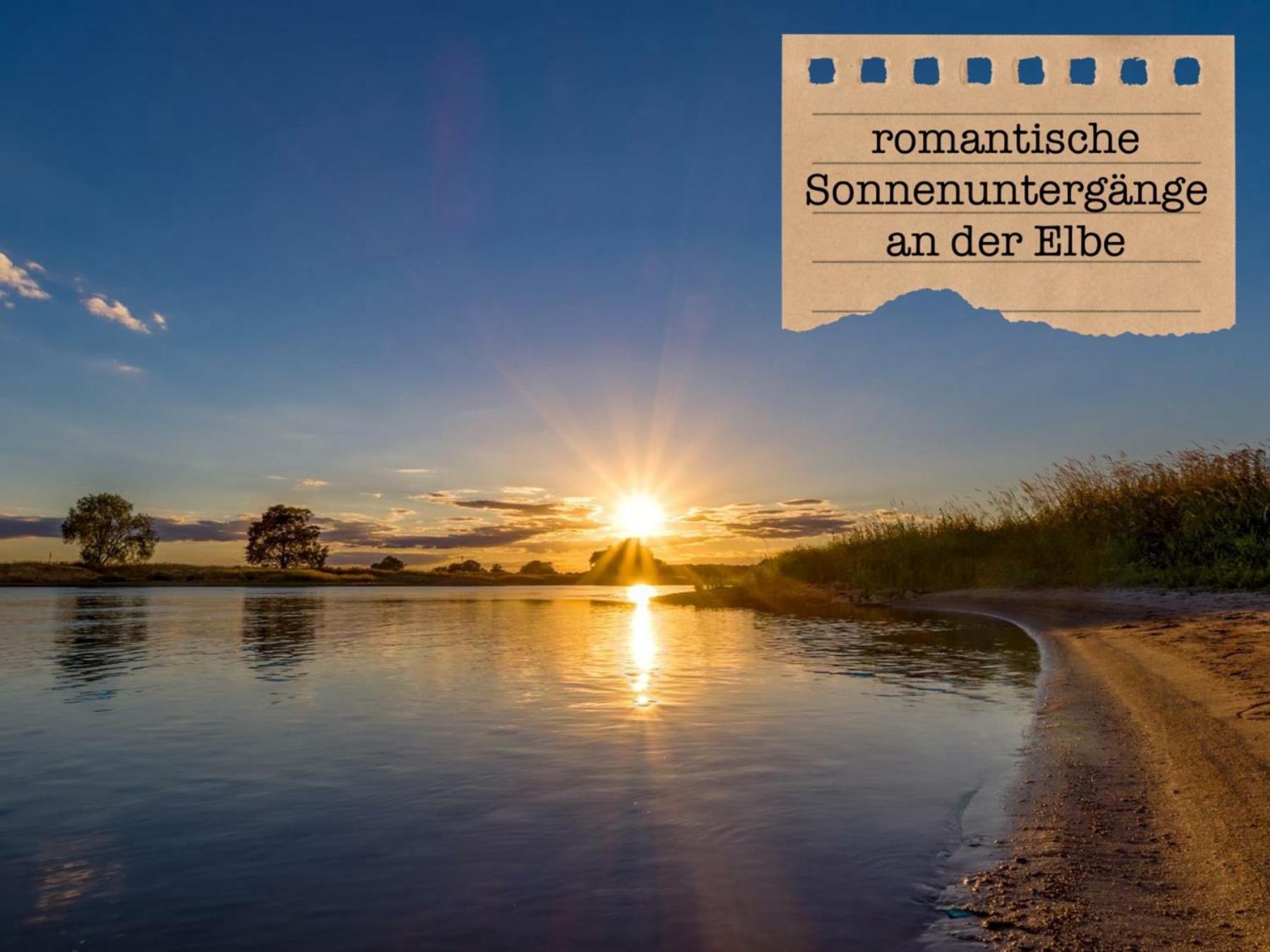 Alte Schule Wittenberg, 3 Ferienwohnungen Fuer Bis Zu 12 Personen, An Der Elbe, Mit Garten Εξωτερικό φωτογραφία