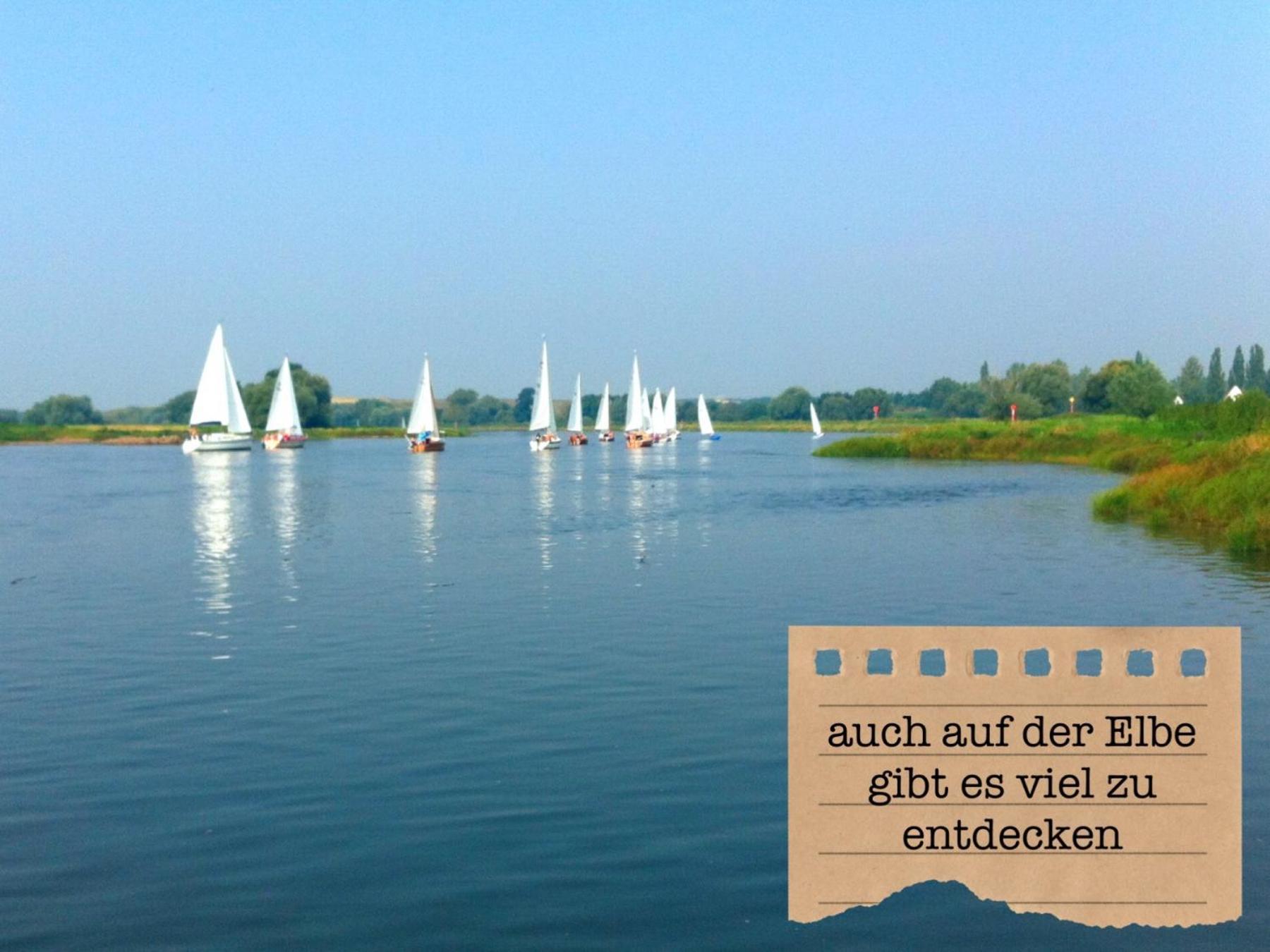 Alte Schule Wittenberg, 3 Ferienwohnungen Fuer Bis Zu 12 Personen, An Der Elbe, Mit Garten Εξωτερικό φωτογραφία