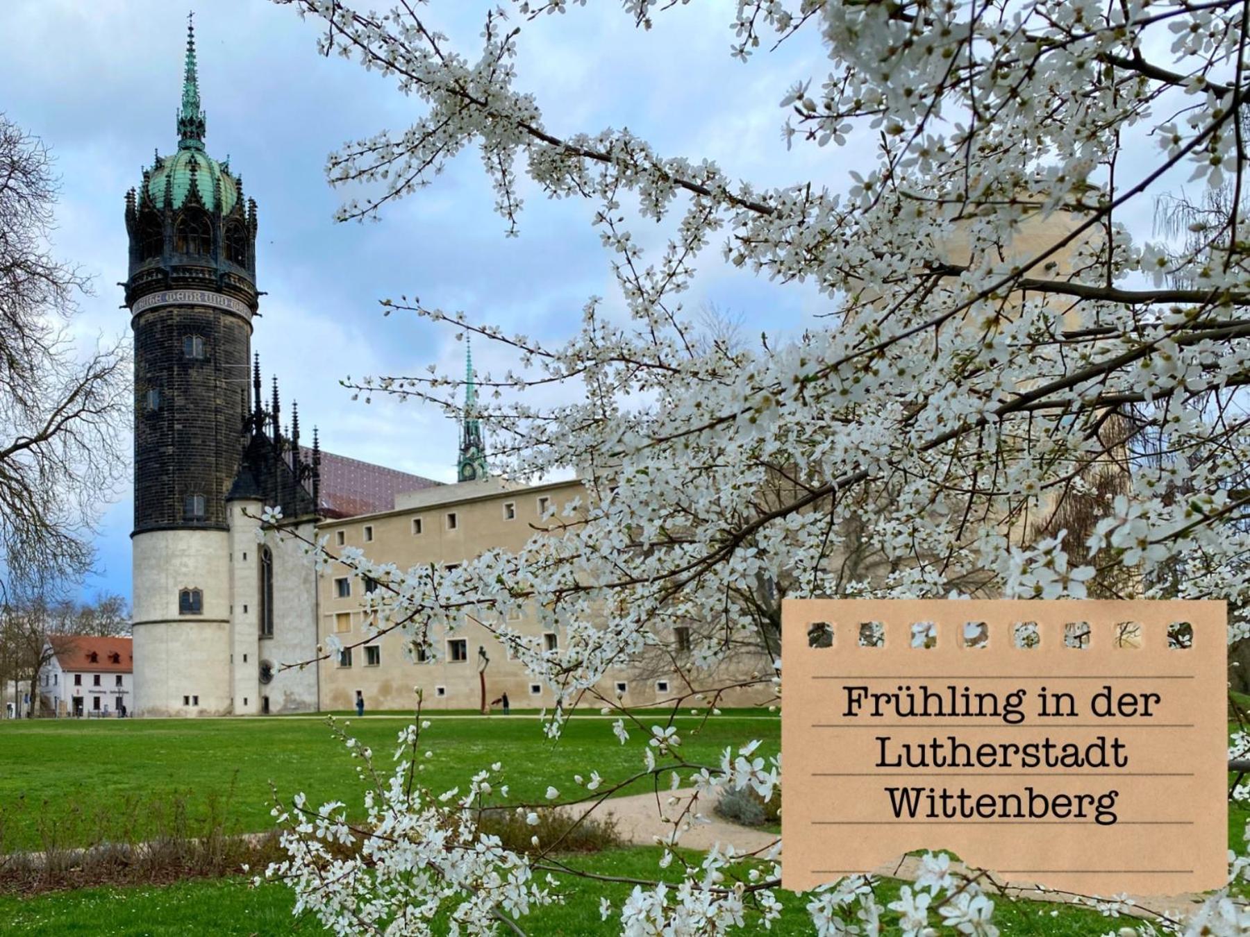 Alte Schule Wittenberg, 3 Ferienwohnungen Fuer Bis Zu 12 Personen, An Der Elbe, Mit Garten Εξωτερικό φωτογραφία