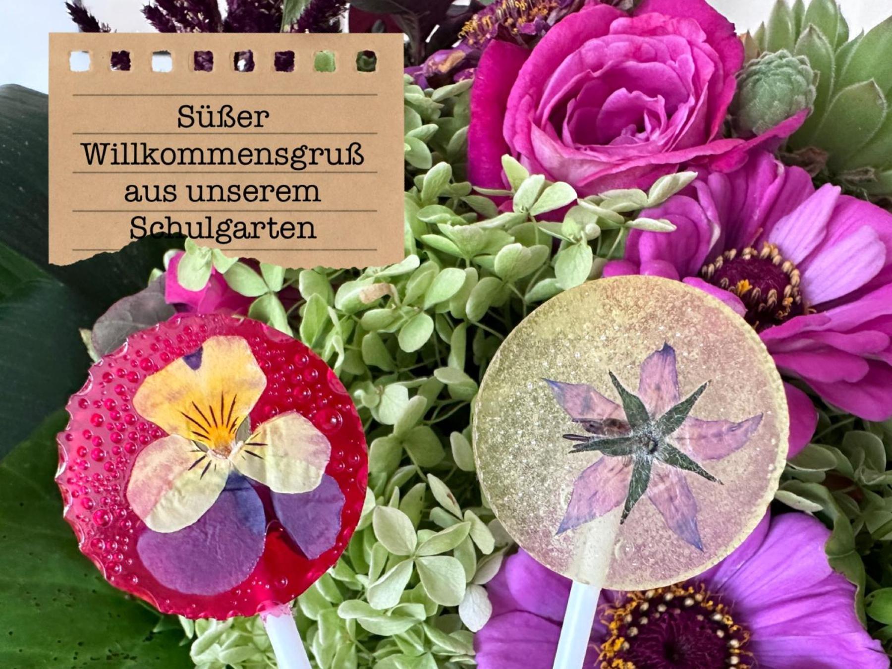 Alte Schule Wittenberg, 3 Ferienwohnungen Fuer Bis Zu 12 Personen, An Der Elbe, Mit Garten Εξωτερικό φωτογραφία
